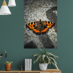 Vlinder Schilderstijl Foto Grunge Kunst Poster