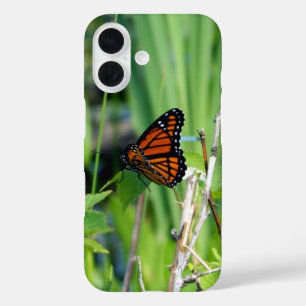 Vlinder Schoonheid iPhone Hoesje