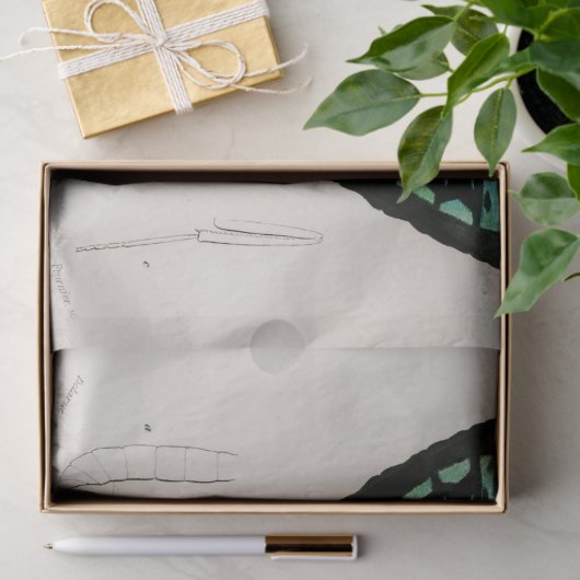 vlinder specimen afdrukken tissuepapier (Geschenk)