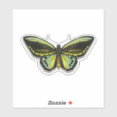Vlinder  sticker (Vel)