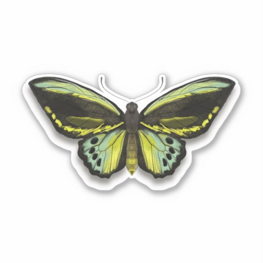 Vlinder  sticker (Voorkant)