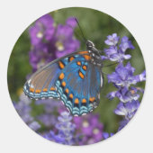 Vlinder sticker #1 (Voorkant)