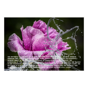 Vlinder symboliek Poster