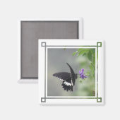 Vlinder tuin vierkante magneet (Voorkant / Achterkant)