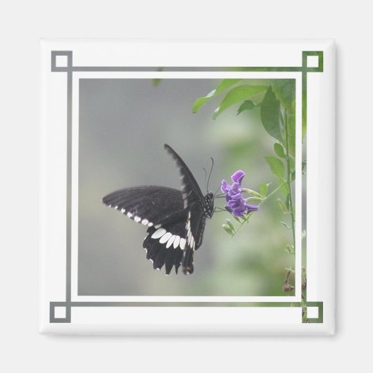 Vlinder tuin vierkante magneet (Voorkant)