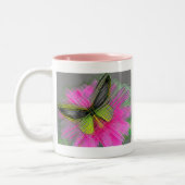 VLINDER TWEEKLEURIGE KOFFIEMOK (Links)