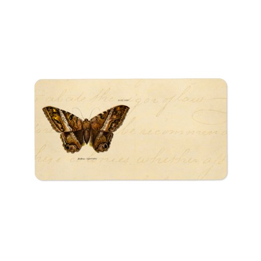 vlinder van de 1800's bruine Sjabloon van de Moth Etiket (Voorkant)