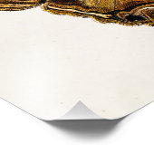  vlinder van de 1800's bruine Sjabloon van de Moth Foto Afdruk (Hoek)