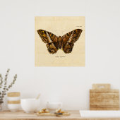vlinder van de 1800's bruine Sjabloon van de Moth Poster (Keuken)