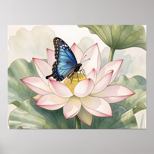 Vlinder van de Blauwe Zwaluwstaart met Lotusbloem  Poster (Voorkant)