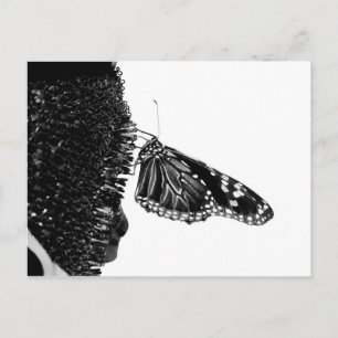 vlinder verlegen zwart briefkaart