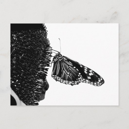 vlinder verlegen zwart briefkaart (Voorkant)