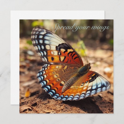 Vlinder verspreidt zijn vleugels kaart (Voorkant / Achterkant)