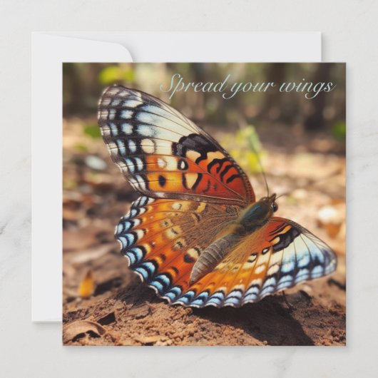 Vlinder verspreidt zijn vleugels kaart (Voorkant)