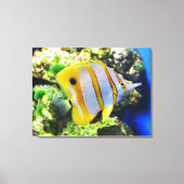 Vlinder vis dier canvas afdruk (Voorkant)