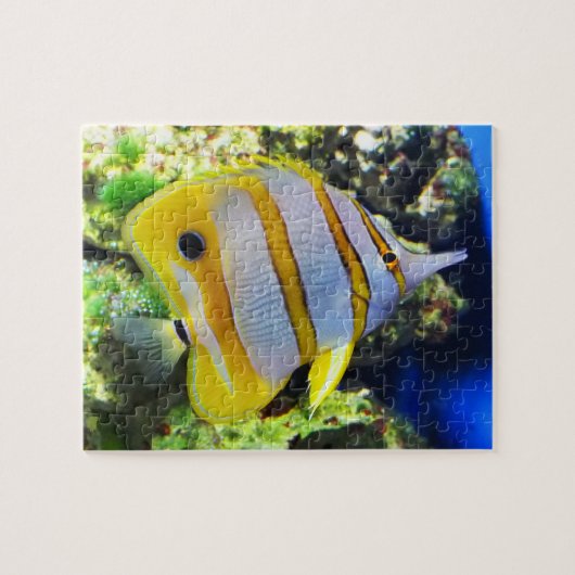 Vlinder vis legpuzzel (Horizontaal)