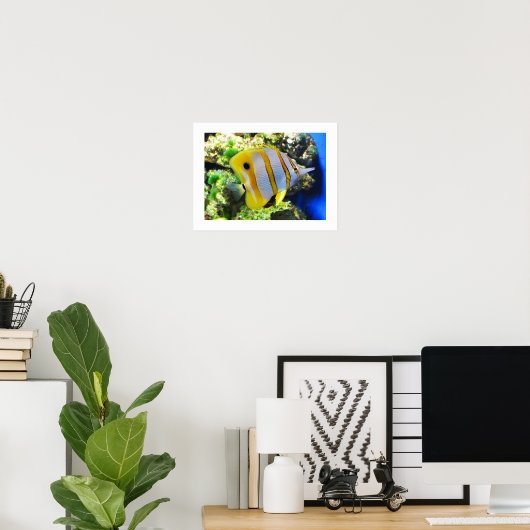 Vlinder vis poster (Thuiskantoor)