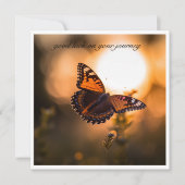 Vlinder vliegend in de zonsondergang, klantgericht (Voorkant)
