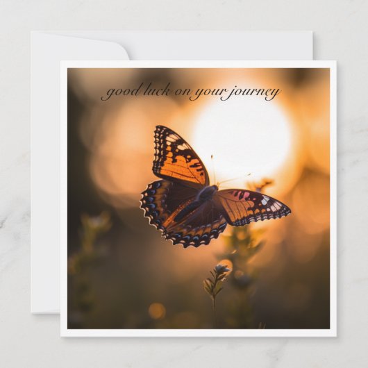 Vlinder vliegend in de zonsondergang, klantgericht (Voorkant)