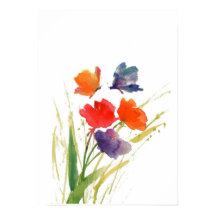 vlinder voor waterkleur