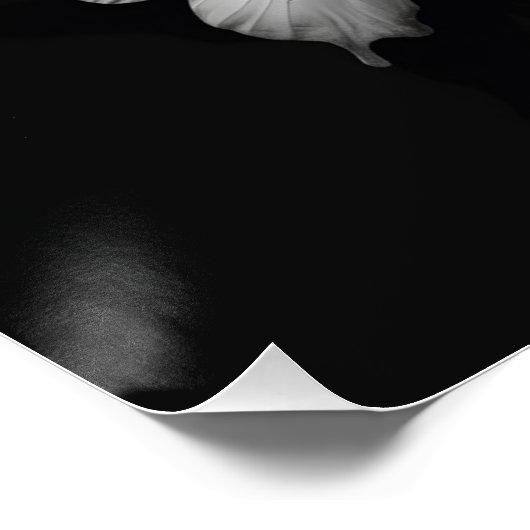 Vlinder Wall Art Glanzend Poster (Hoek)