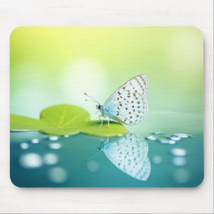 Vlinder Water Natuur Serene Tranquil Muismat