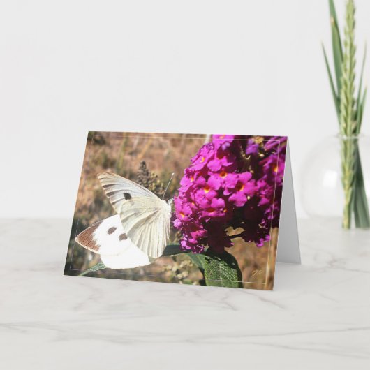 Vlinder. Wenskaart. Kaart (Voorkant)