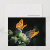 VLINDER WILDE LEVEN INSECT POSTCROSSING BRIEFKAART (Voorkant / Achterkant)