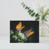VLINDER WILDE LEVEN INSECT POSTCROSSING BRIEFKAART (Staand voorkant)