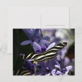 VLINDER WILDE LEVEN INSECT POSTCROSSING BRIEFKAART (Voorkant / Achterkant)