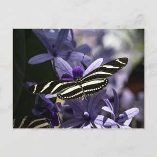 VLINDER WILDE LEVEN INSECT POSTCROSSING BRIEFKAART