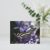 VLINDER WILDE LEVEN INSECT POSTCROSSING BRIEFKAART (Staand voorkant)
