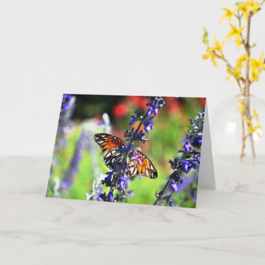 Vlinder wordt snel beter kaart (Gele Bloem)