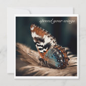 Vlinder zittend op een zachte veer (Voorkant)