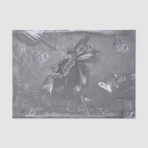 Vlinder Zonnebloem Zwart Wit Antieke Negatief Tissuepapier