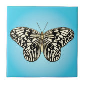 Vlinder - zwart en wit op turquoise tegeltje (Voorkant)