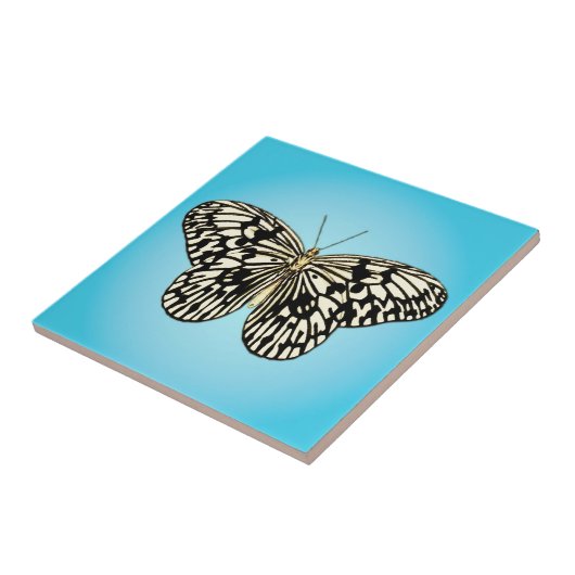 Vlinder - zwart en wit op turquoise tegeltje (Zijkant)