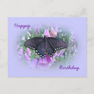Vlinder Zwart Staartvlinder Birthday Spicebush Briefkaart