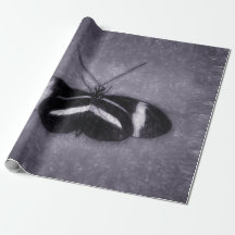  vlinder zwarte Paarse Victoriaans ontkoppeling