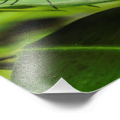 Vlinderafdruk wissen foto afdruk (Hoek)