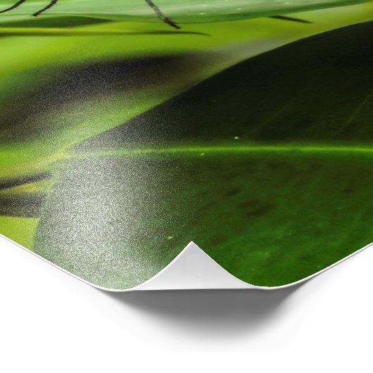 Vlinderafdruk wissen foto afdruk (Hoek)