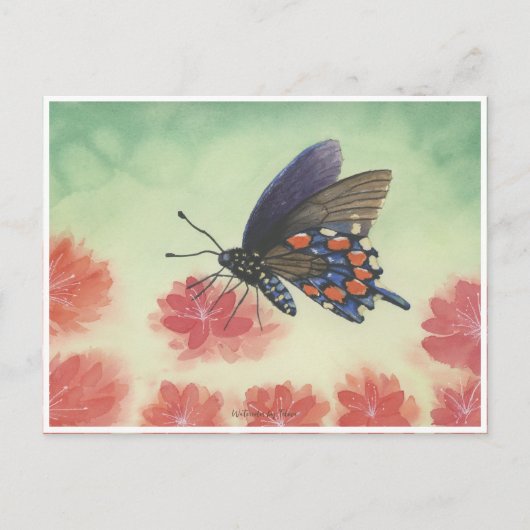 Vlinderaquarel Briefkaart (Voorkant)