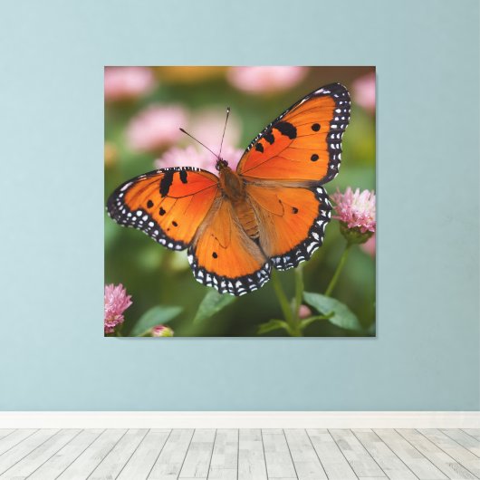 Vlinderbloei Canvas Afdruk (Insitu (Houten vloer))