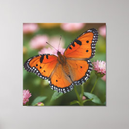 Vlinderbloei Canvas Afdruk