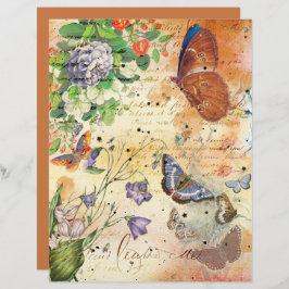  vlinderbloemenbundel