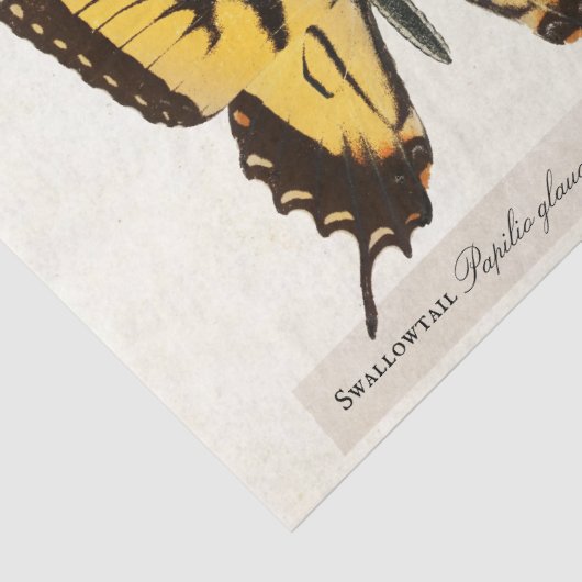 vlinderbloemetjesmonarch gekleurde Dame Tissuepapier (Detail)