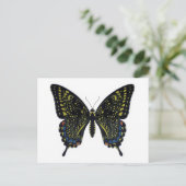 Vlinderbloemige Briefkaart (Staand voorkant)