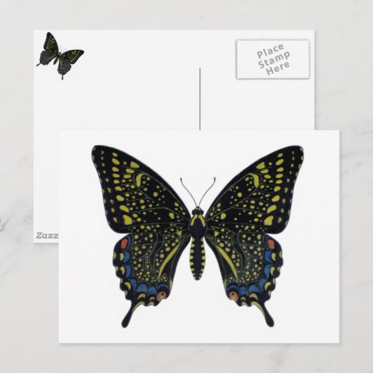 Vlinderbloemige Briefkaart (Voorkant / Achterkant)