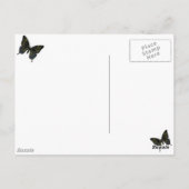 Vlinderbloemige Briefkaart (Achterkant)