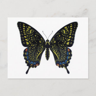 Vlinderbloemige Briefkaart